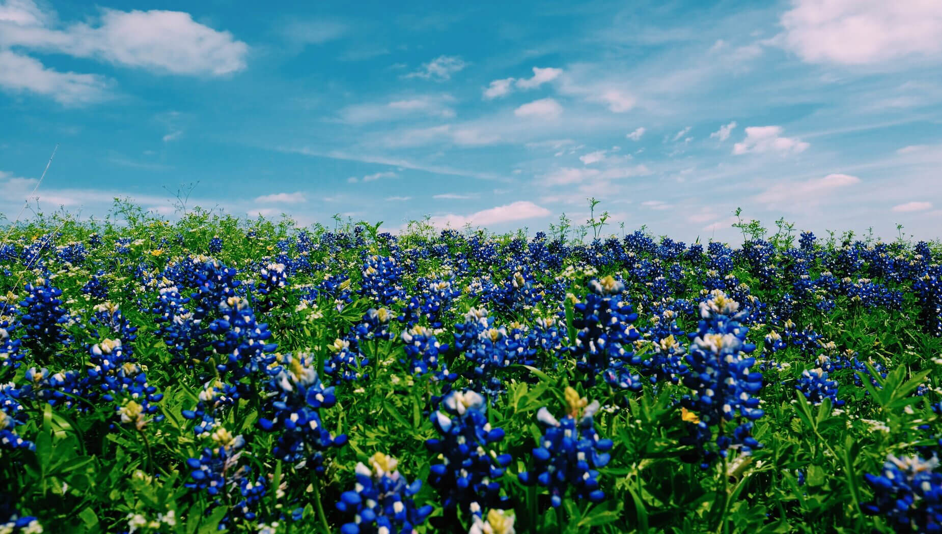 Best places to live in north texas